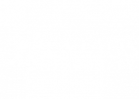 Austad University